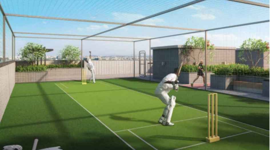 Mesacon-Crown-Cricket-Turf